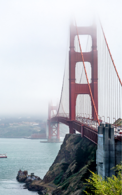 Bay Area